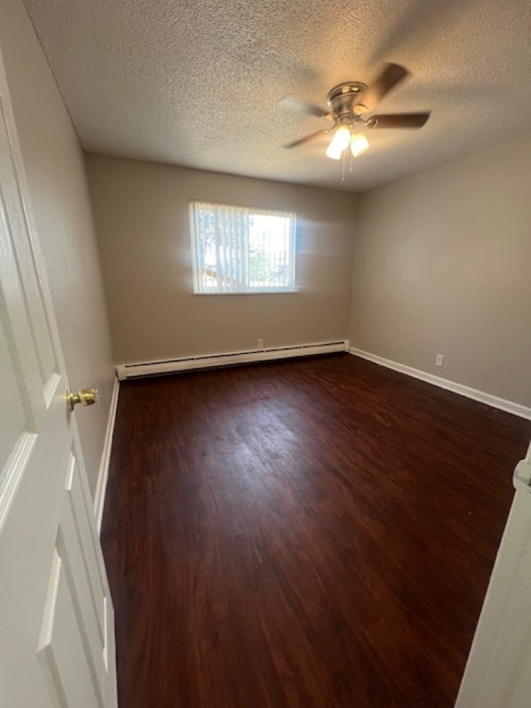 A bright bedroom with dark wood-look plank flooring, a ceiling fan, and a large window