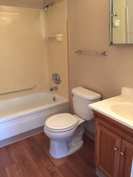 Full bathroom with soaking tub, medicine cabinet and wood vanity