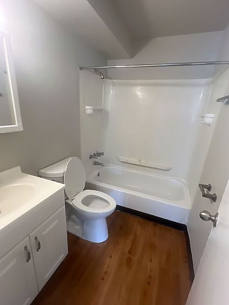 Bathroom with a white vanity, medicine cabinet and full tub-shower surround over wood flooring