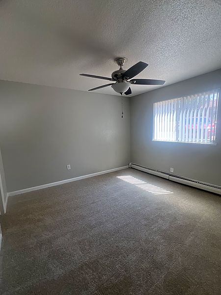 Spacious carpeted bedroom with a ceiling fan and sunlight through a wide window