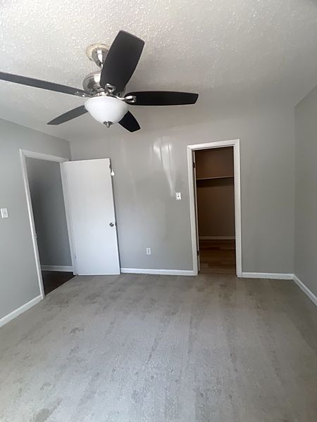 Carpeted bedroom with a ceiling fan opening onto a walk-in closet