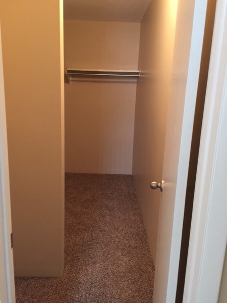 Carpeted walk-in closet with a full-length hanging rod