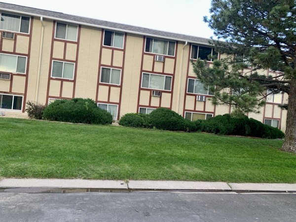 Wide lawn and trimmed shrubs running alongside the apartment building