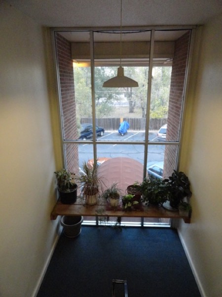 Stair landing with a large window and a shelf of potted plants